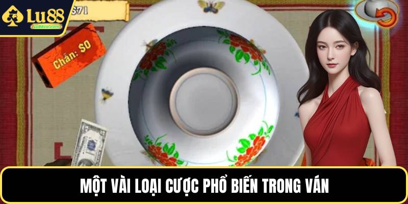 Một vài loại cược phổ biến trong ván
