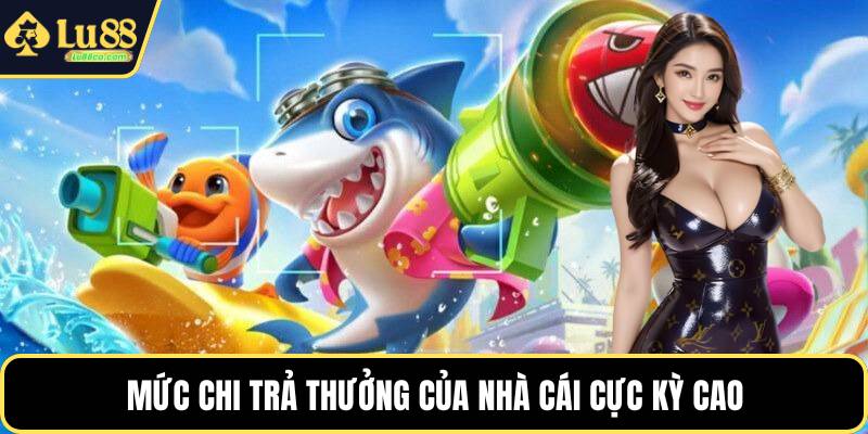 Mức chi trả thưởng của nhà cái cực kỳ cao